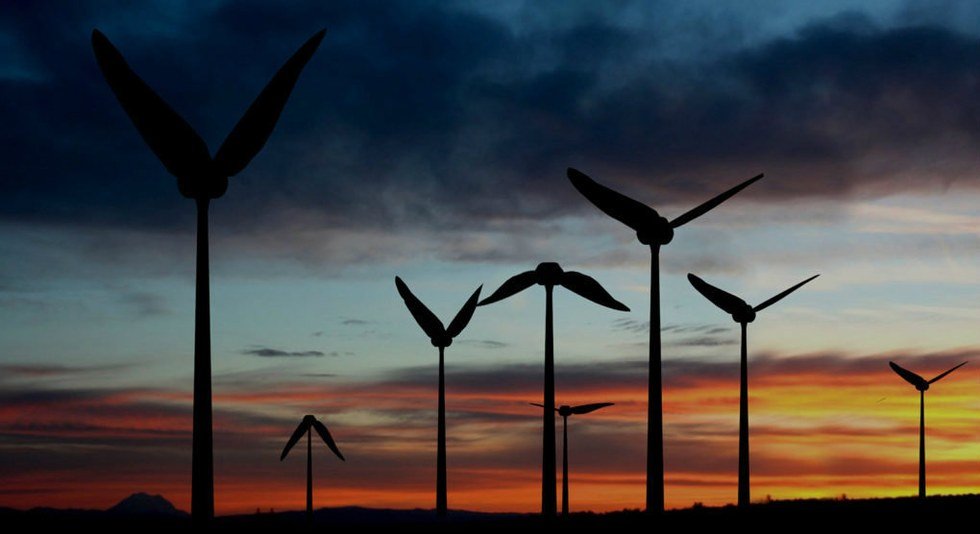 Hummingbird wind turbine