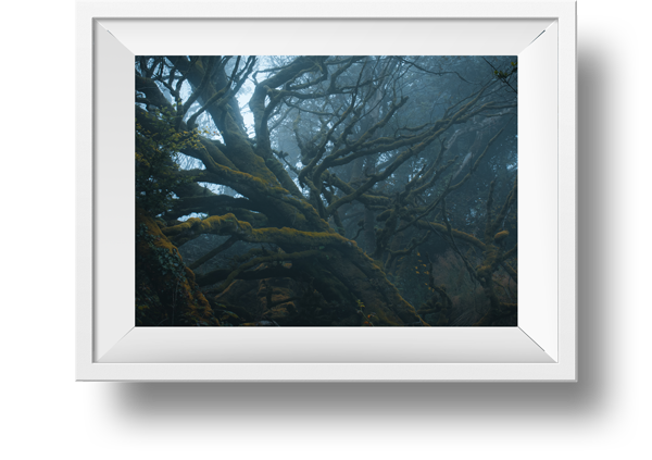 Oak-frame